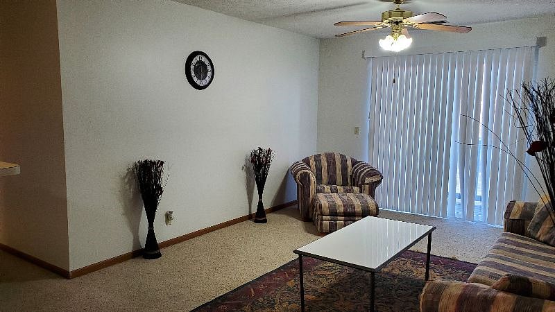 Furnished Finder property 319086_1 photo 15