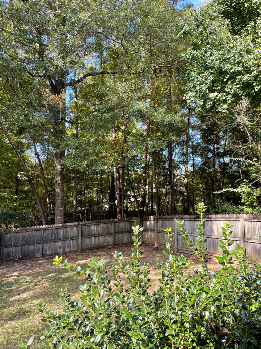 Furnished Finder property 319098_1 photo 27