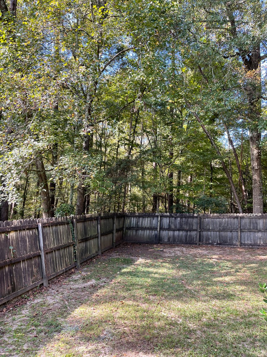 Furnished Finder property 319098_1 photo 28