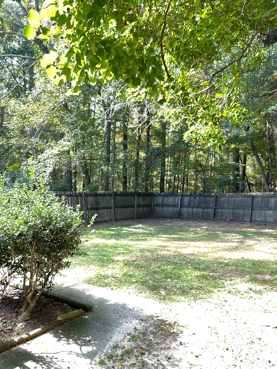 Furnished Finder property 319098_1 photo 29