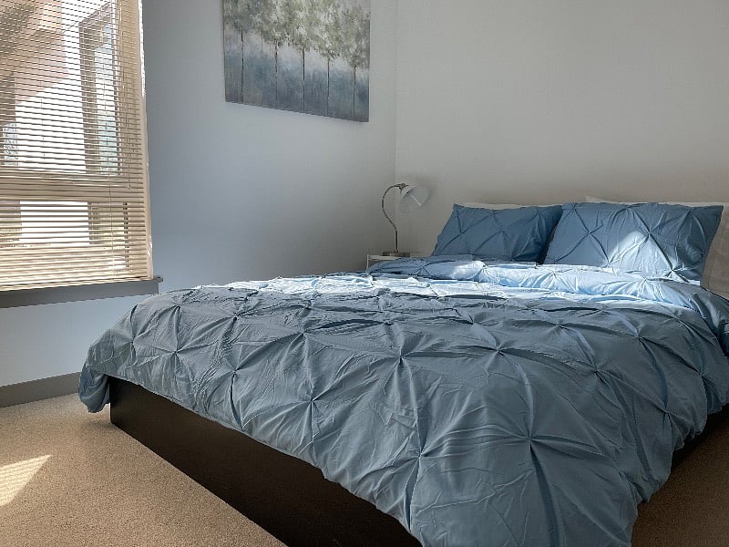 Furnished Finder property 319102_3 photo 4