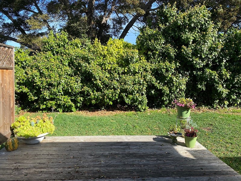 Furnished Finder property 319262_1 photo 17