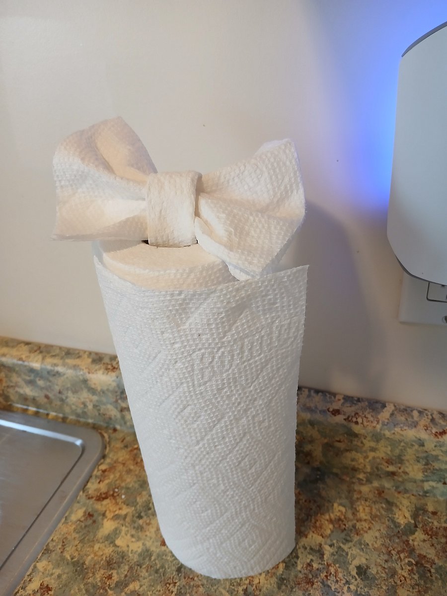 Kitchen starters like paper towels and dish soap,