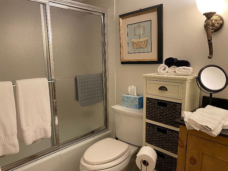 Bathtub and shower combo