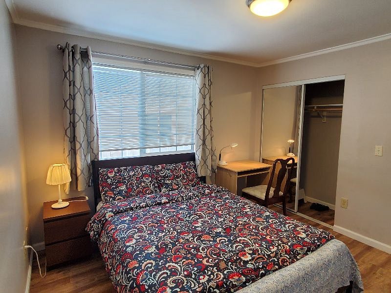 Furnished Finder property 319427_1 photo 12