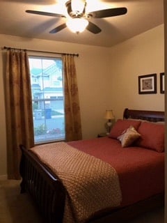 Furnished Finder property 319454_1 photo 8