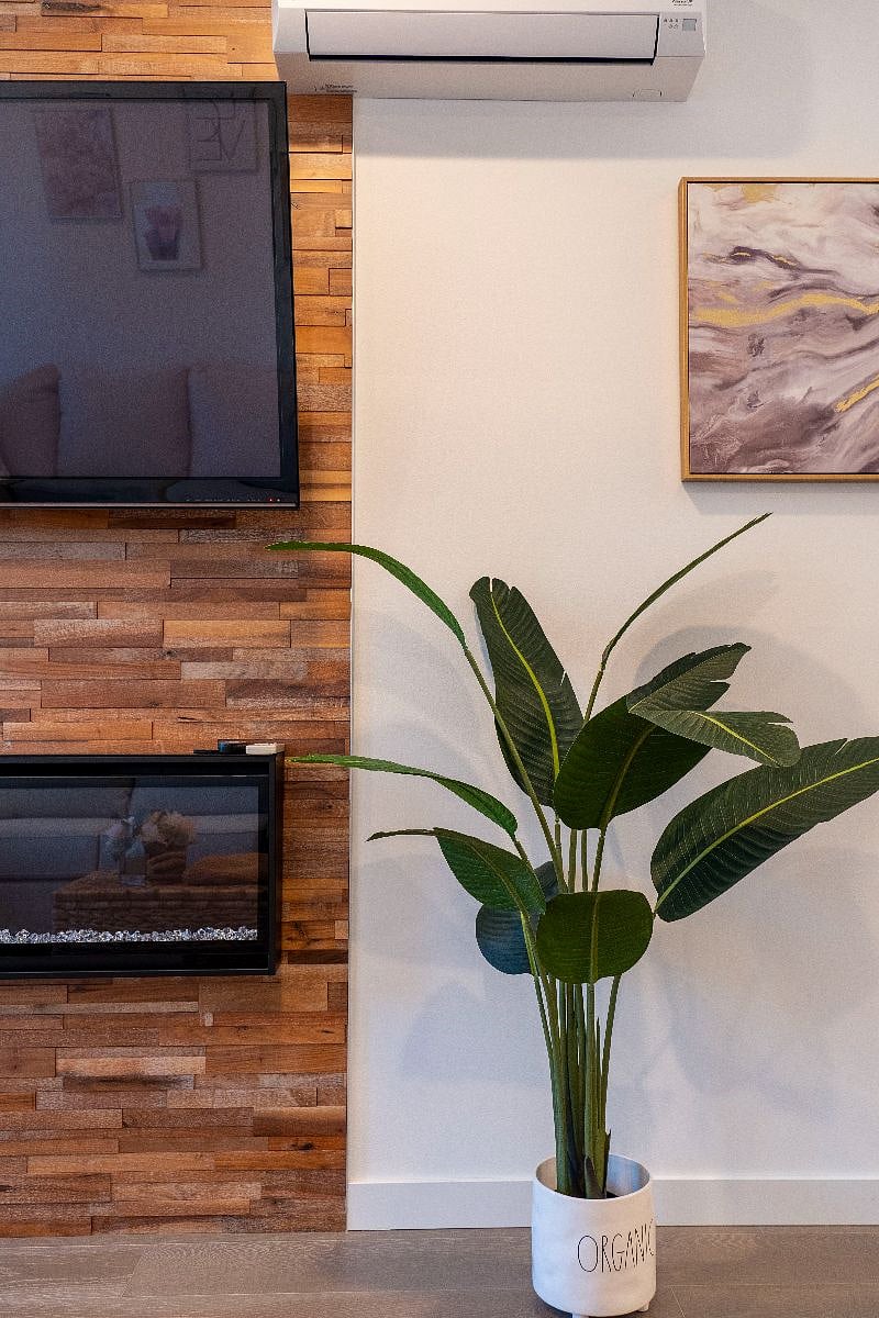 Smart TV with YouTube, Netflix (with your account), Hulu, etc. 