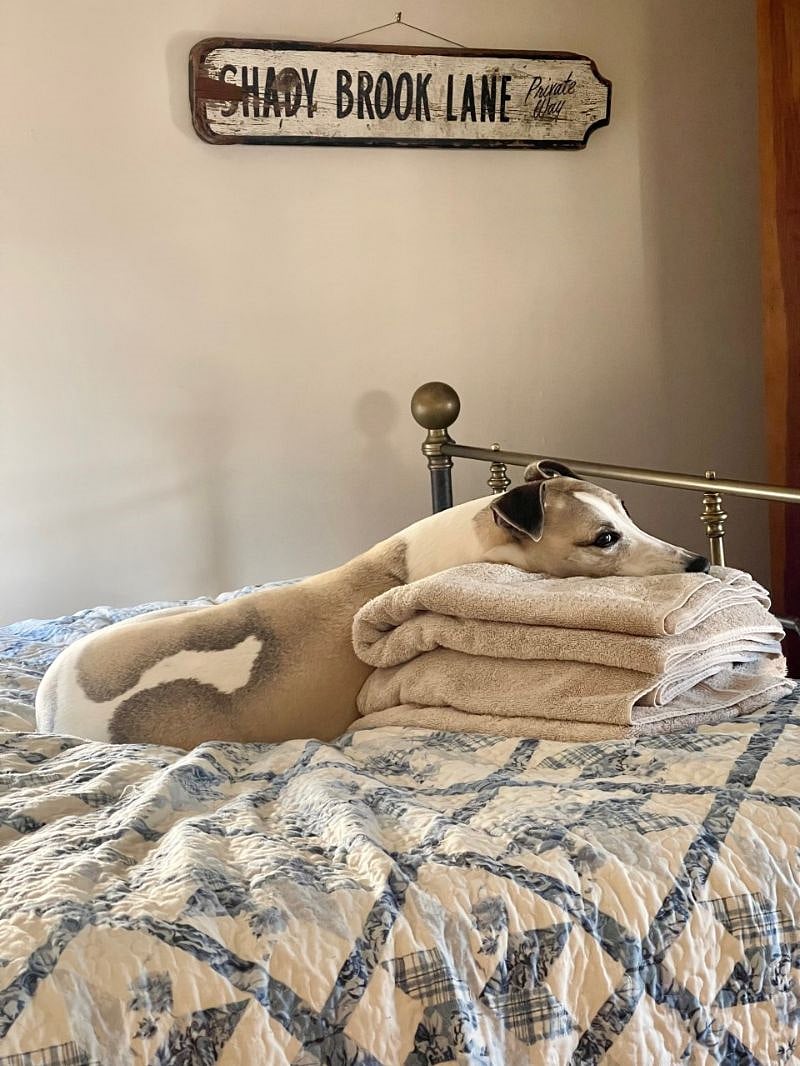 Your bedroom, super comfy queen sized bed, nice size room with large dresser, an armoire and closet (dog not included)