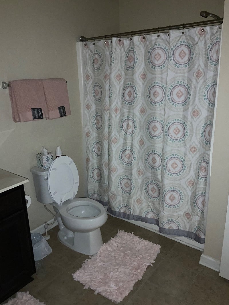 Furnished Finder property 320886_3 photo 5