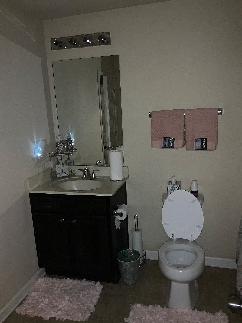 Furnished Finder property 320886_3 photo 3