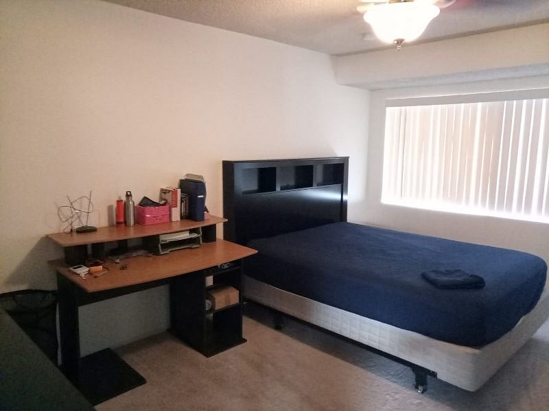 Furnished Finder property 327120_1 photo 11