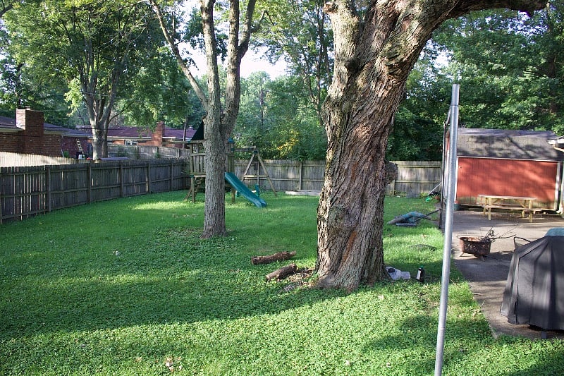 Furnished Finder property 327174_1 photo 28