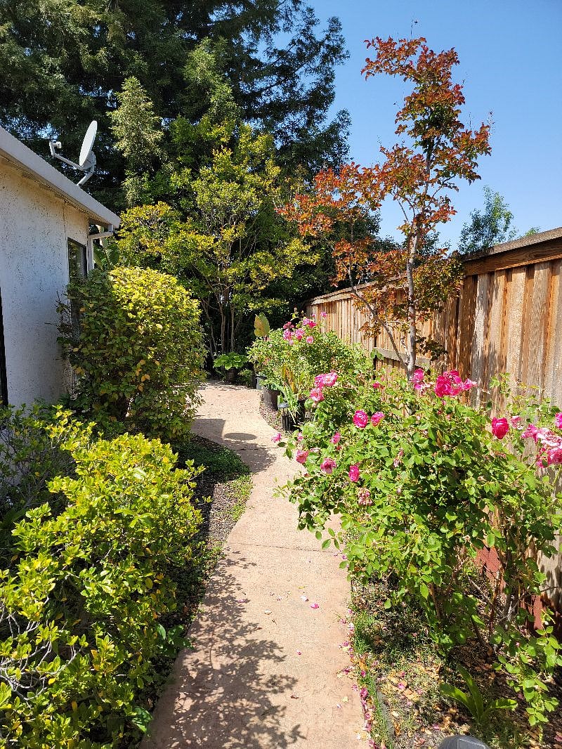 So many plants, bushes, trees make for a lush landscape for you to enjoy after those long work days.