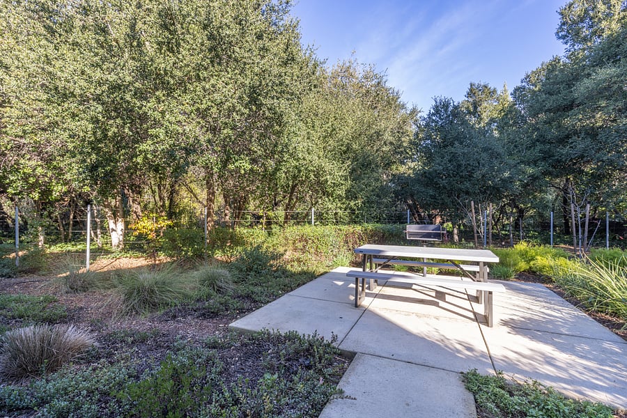 Public picnic tables for the development, just outside the front of the house. Behind the picnic table is the woods and Napa Creek. 