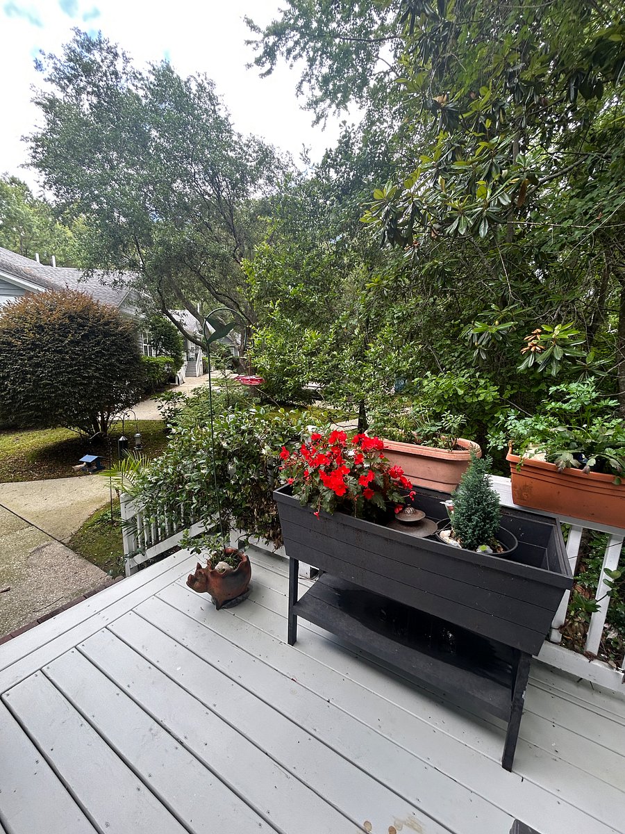 Furnished Finder property 327657_1 photo 9