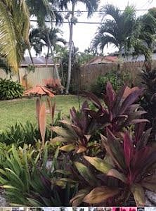Furnished Finder property 327670_1 photo 23
