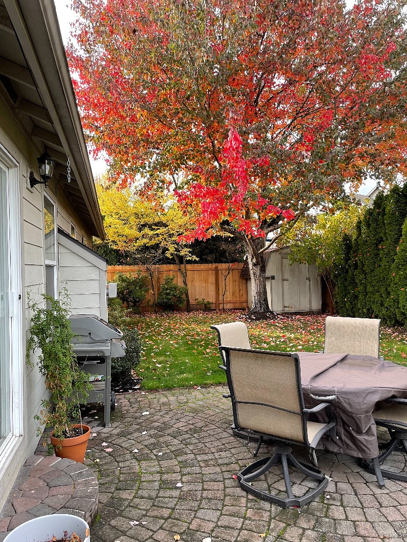 Furnished Finder property 327751_1 photo 21