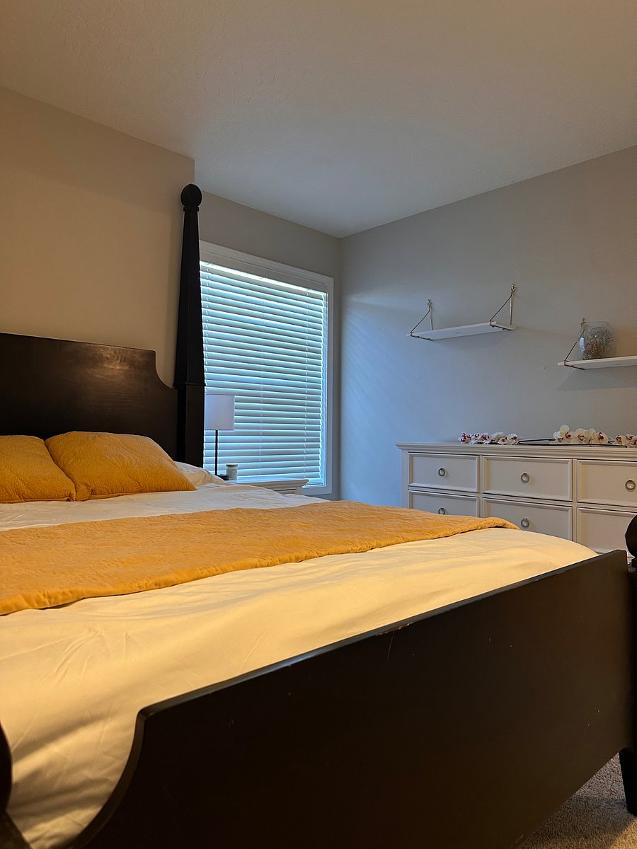Furnished Finder property 327751_1 photo 52