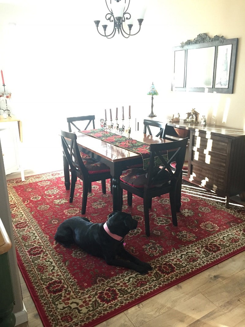 Furnished Finder property 327890_1 photo 21