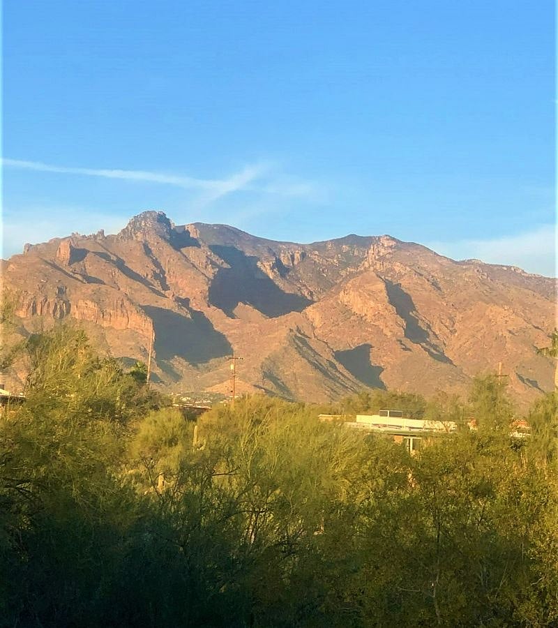 Furnished Finder property 327970_1 photo 11