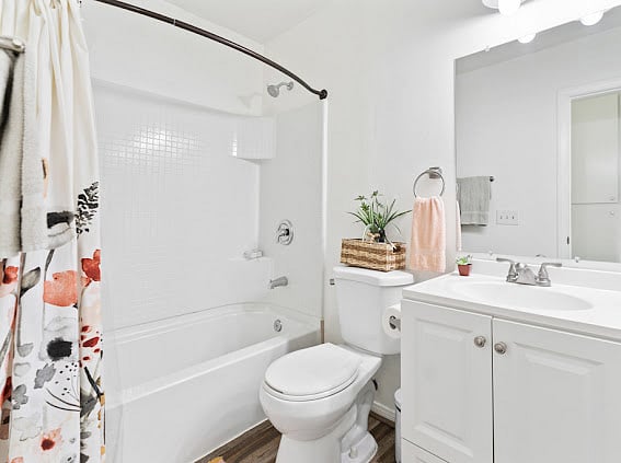 Furnished Finder property 328030_1 photo 13
