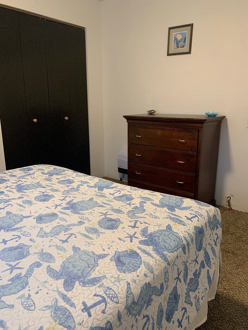 Furnished Finder property 328140_1 photo 20