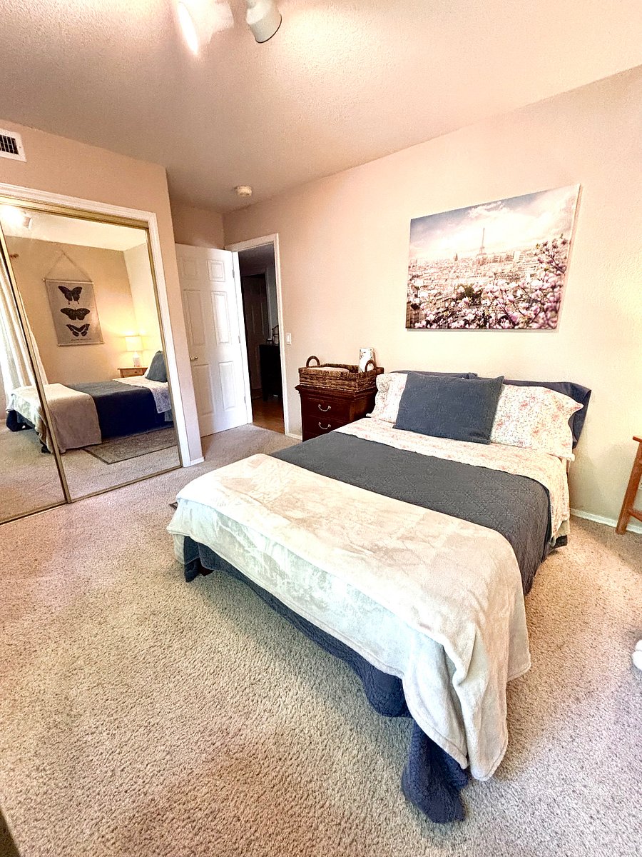 Furnished Finder property 328202_1 photo 3