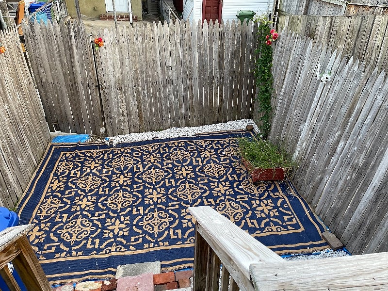 Fenced in yard with outdoor rug