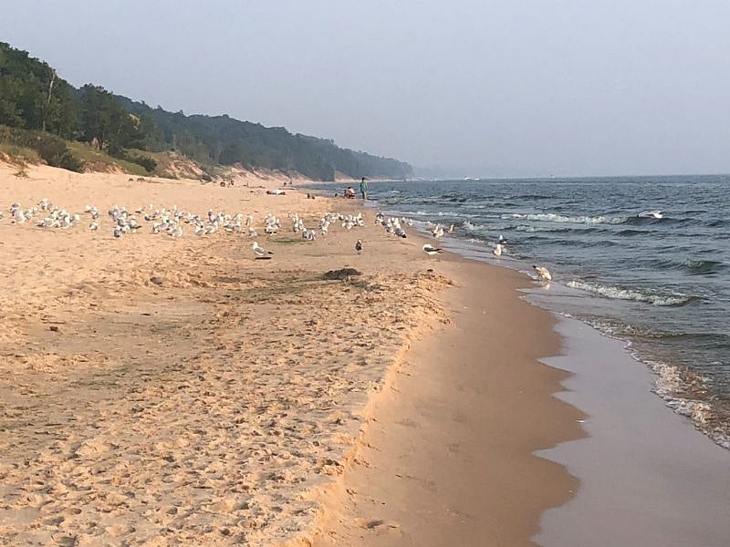 PJ Hoffmaster day beach, 4.3 miles.  website. https://www.michigan.gov/recsearch/parks/hoffmaster