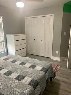 Furnished Finder property 328406_1 photo 5