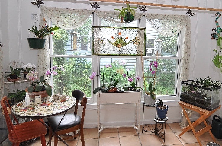 Furnished Finder property 328489_1 photo 10