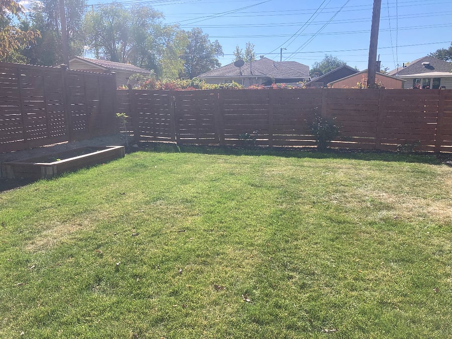 Furnished Finder property 328582_1 photo 3