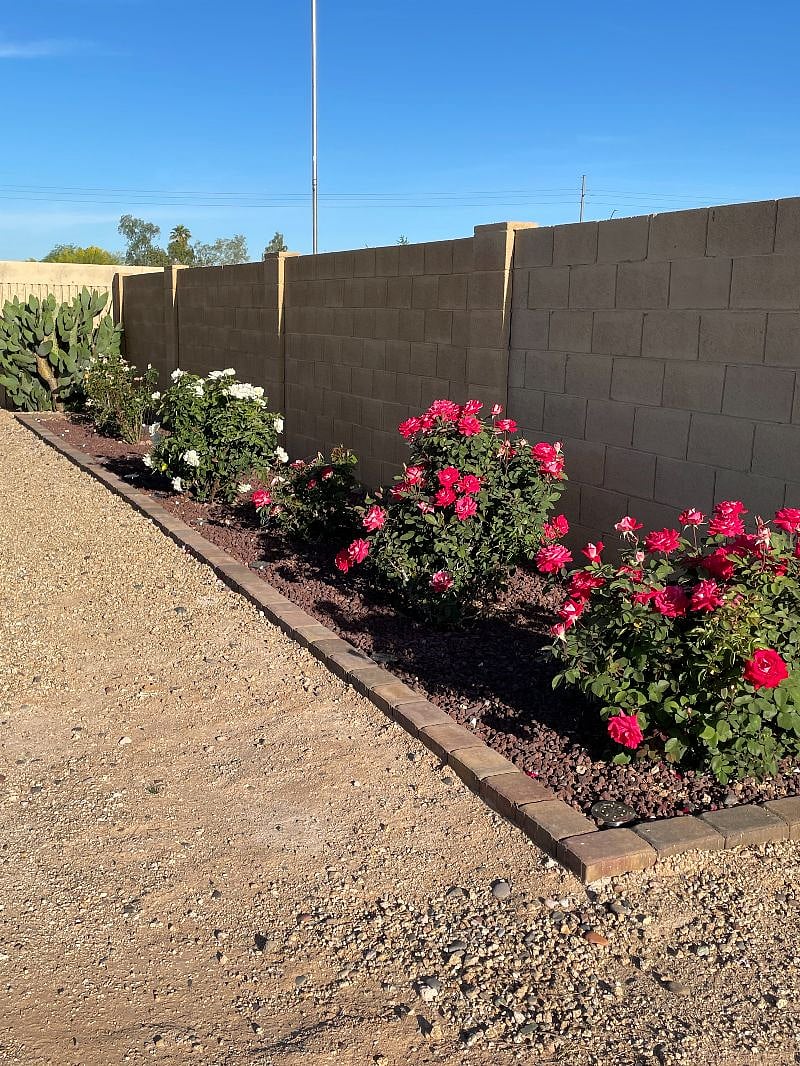 Front yard next to tenant parking