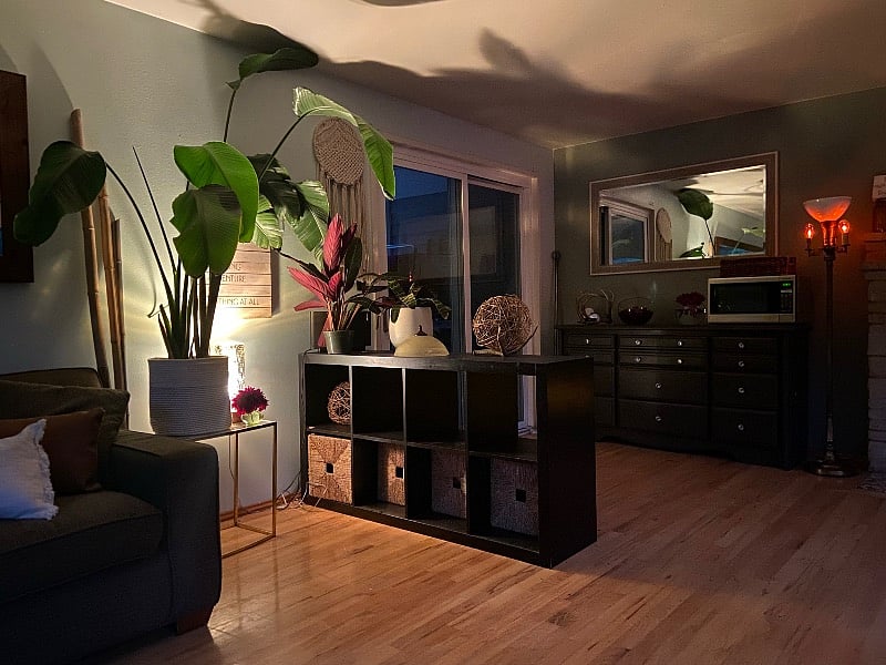 Furnished Finder property 328774_1 photo 10