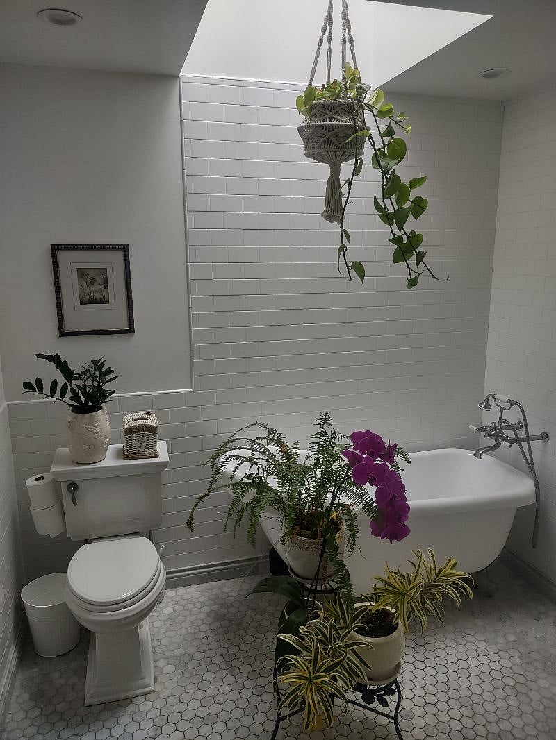 Furnished Finder property 328864_1 photo 6