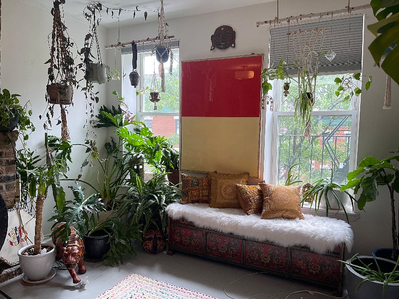 South Facing Afternoon Light