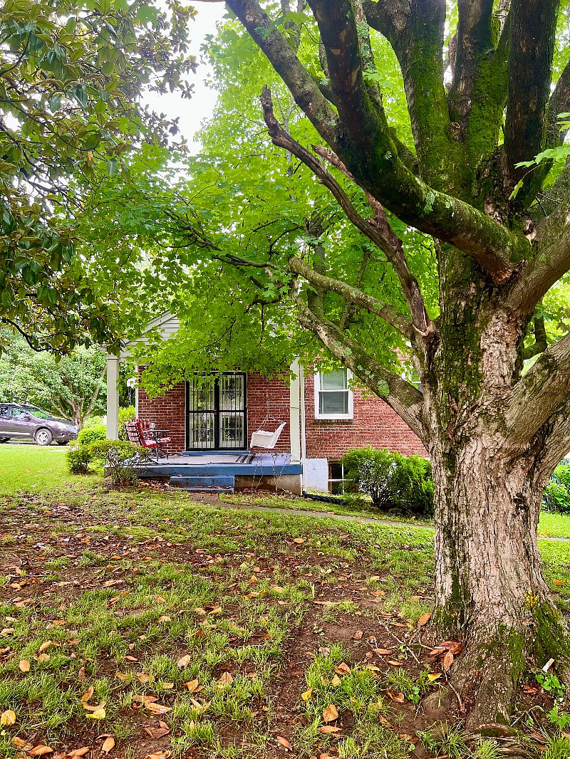 Furnished Finder property 329130_1 photo 24