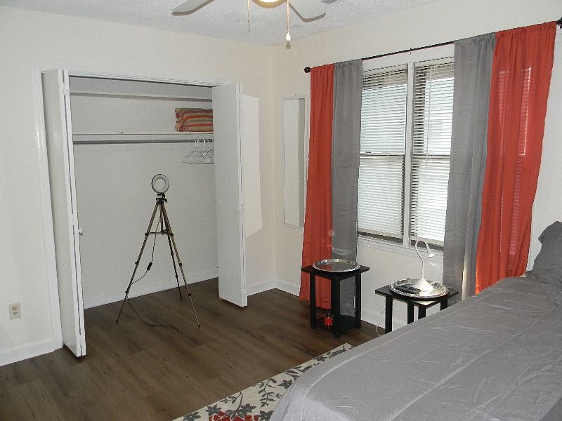 Furnished Finder property 329215_1 photo 31