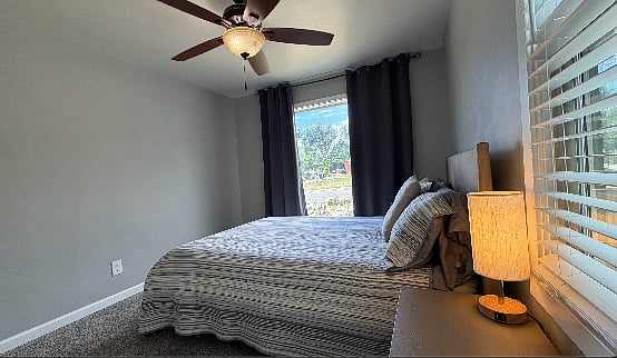 Furnished Finder property 329507_2 photo 12