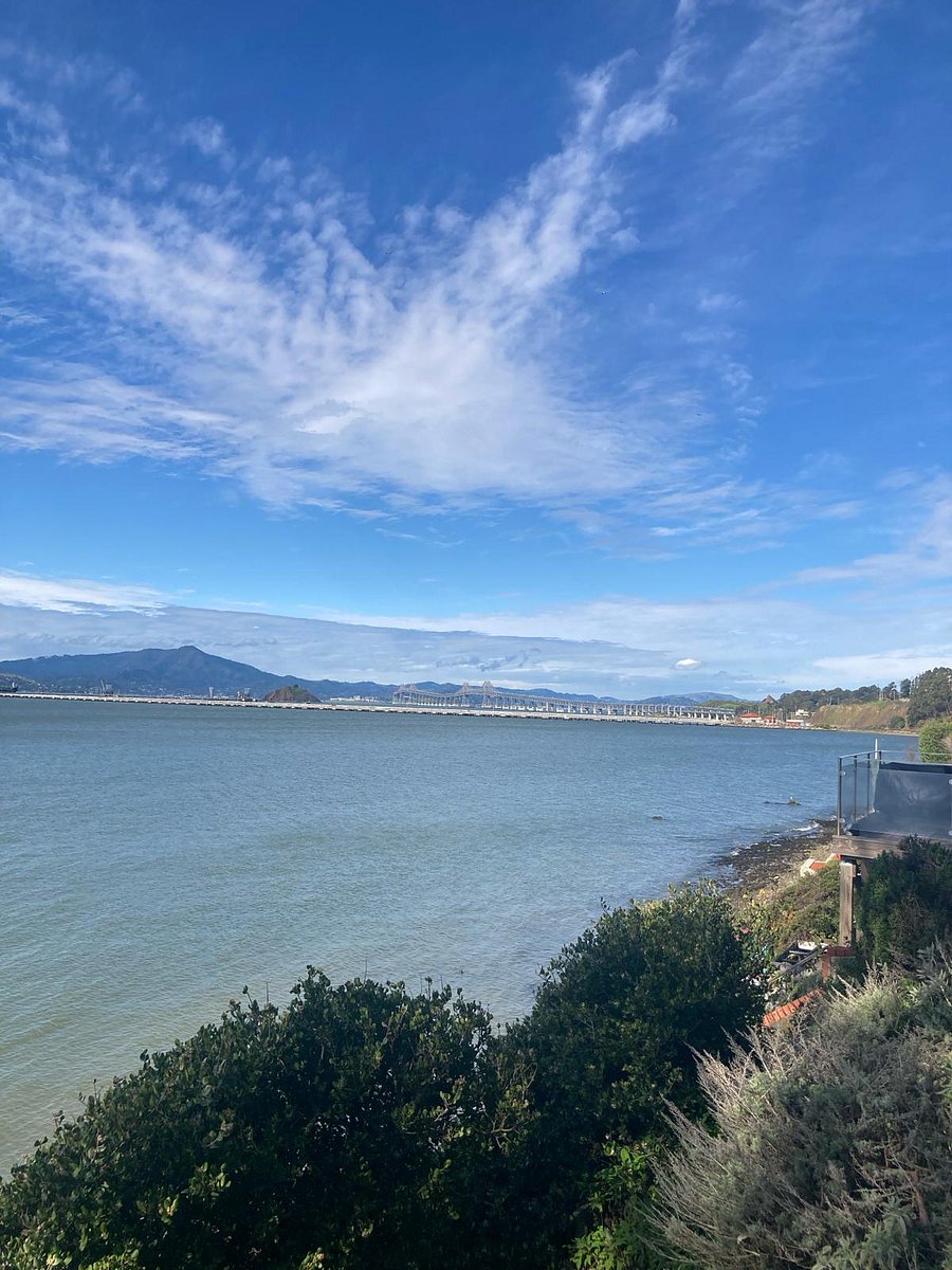 view of Mt. Tam and San Rafael Bridge