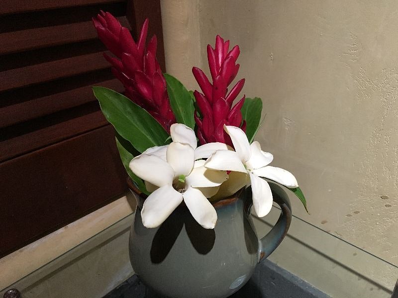 Ginger & Pua Kine Kine flowers