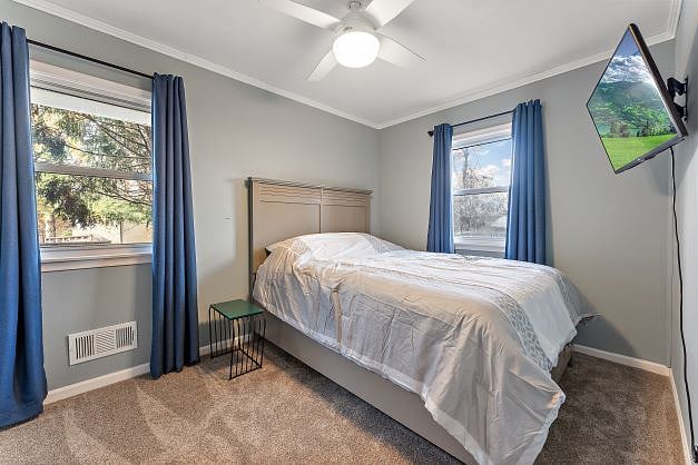 Furnished Finder property 329656_1 photo 15