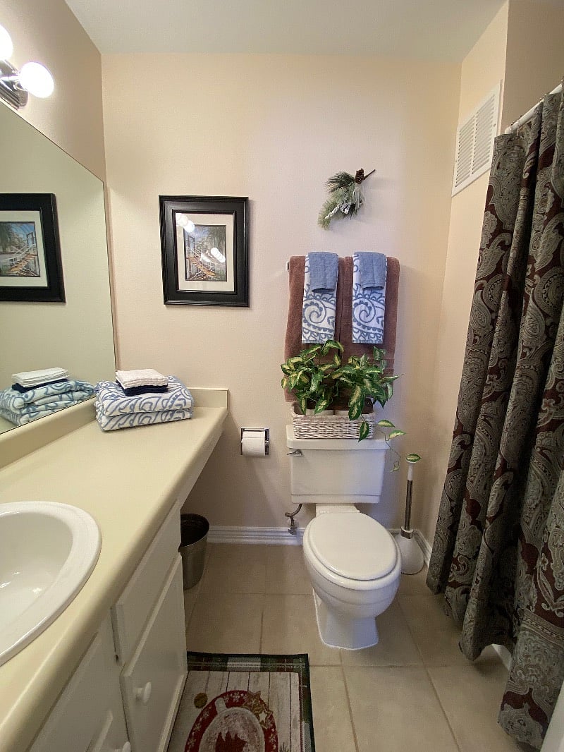 Furnished Finder property 330057_1 photo 18
