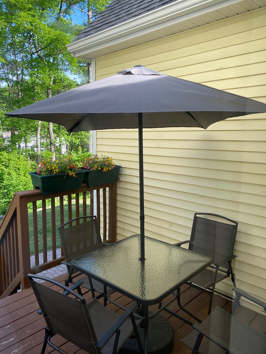 Furnished Finder property 330071_1 photo 15