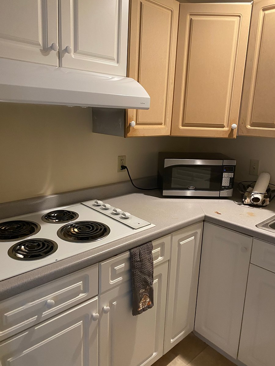Furnished Finder property 330071_2 photo 7