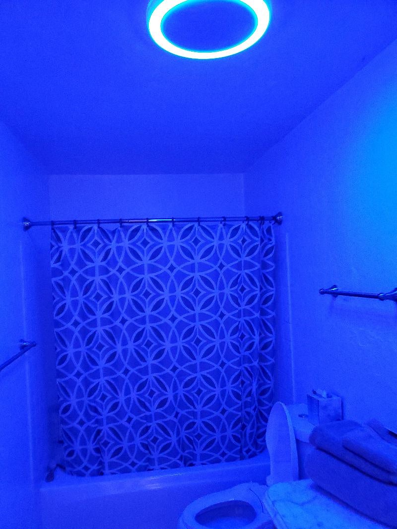 Furnished Finder property 330399_1 photo 22