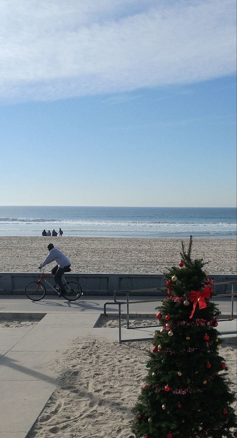 Christmas at the beach!