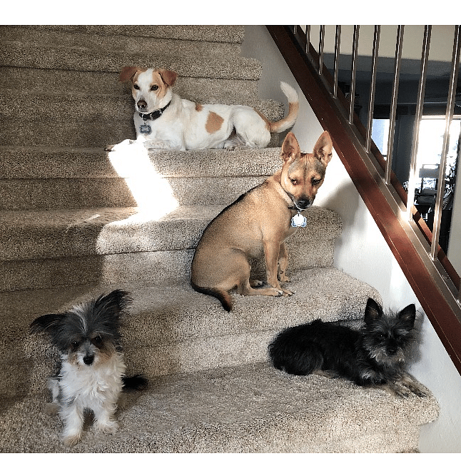 Furnished Finder property 330626_1 photo 16