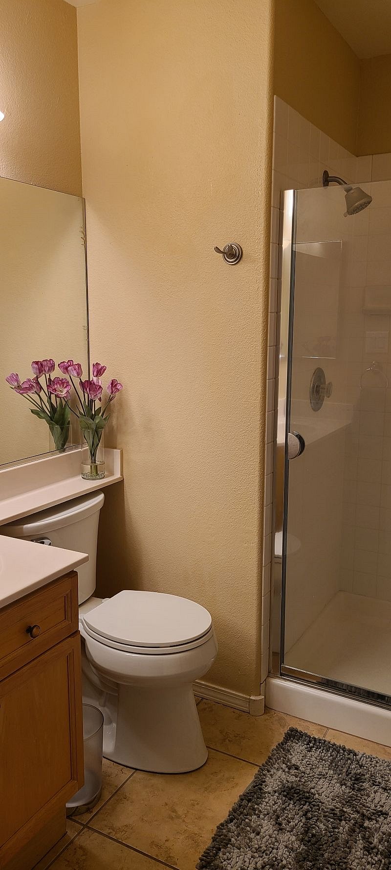Furnished Finder property 330629_1 photo 38