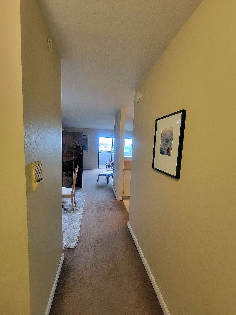 Furnished Finder property 330634_2 photo 10